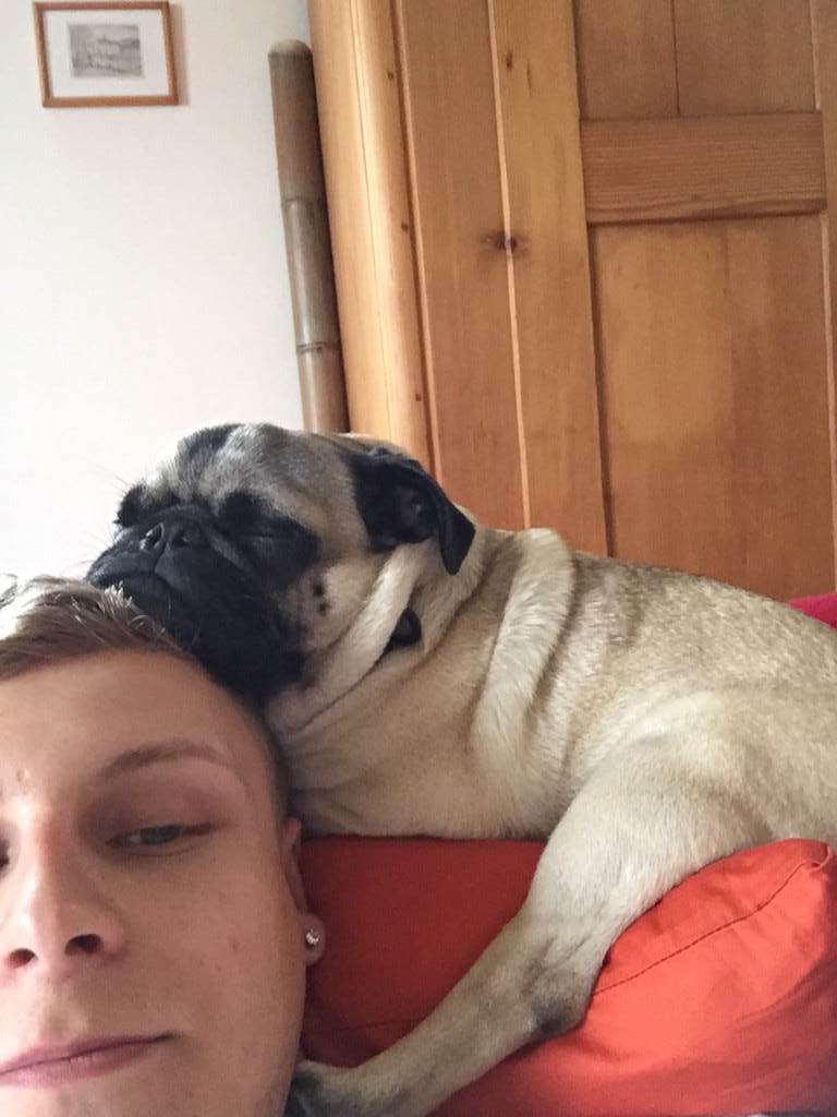 hundesitter lu marco 13a4b782-a30e-4d71-8bba-946df5cf1a45