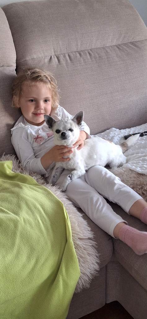 hundesitter be nadja 2e4b94bf-629b-4681-b8cd-2e986a08c0c0