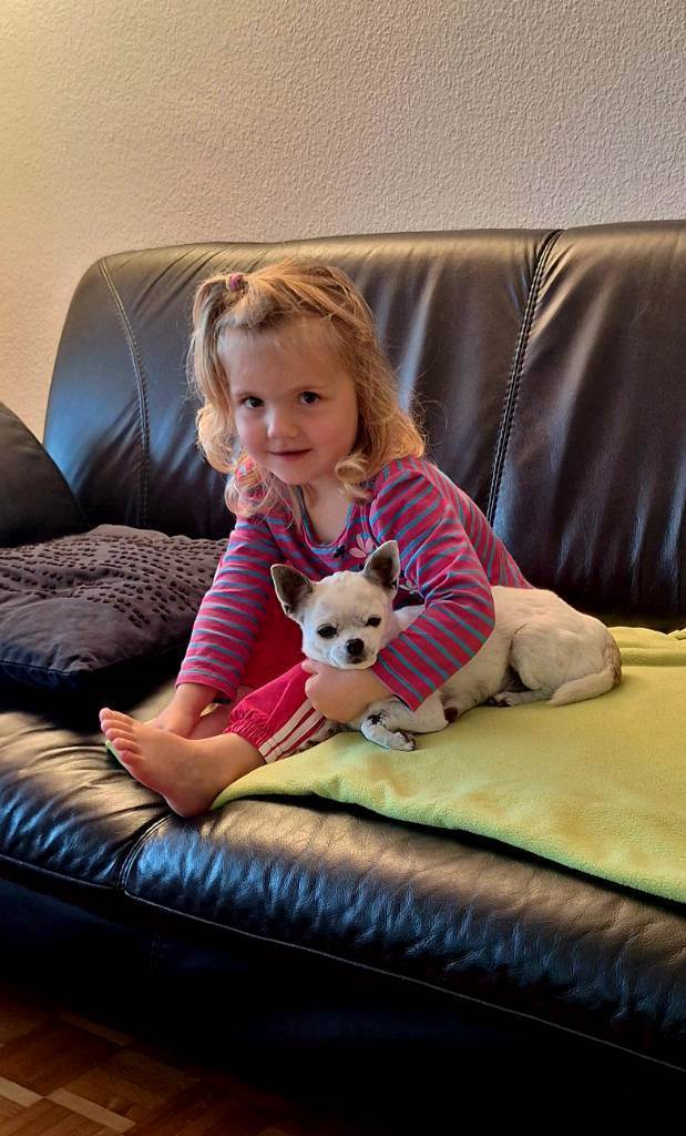 hundesitter be nadja 15001160-98cb-4e77-b4d5-9b647bb058ae